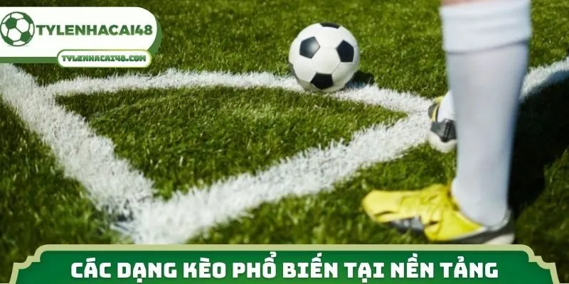 Các dạng kèo phổ biến tại nền tảng