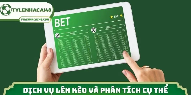 Dịch vụ lên kèo và phân tích cụ thể