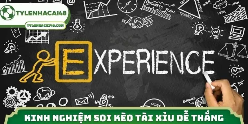 Kinh nghiệm soi kèo tài xỉu dễ thắng