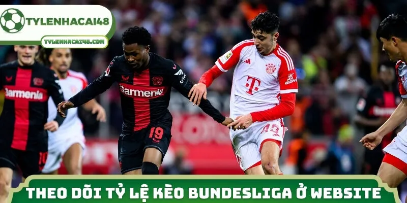 Nguyên nhân theo dõi tỷ lệ kèo Bundesliga ở website