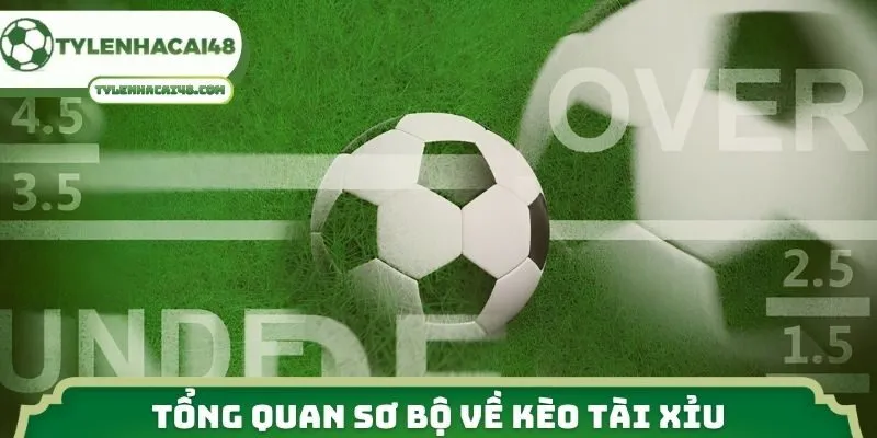 Tổng quan sơ bộ về kèo tài xỉu